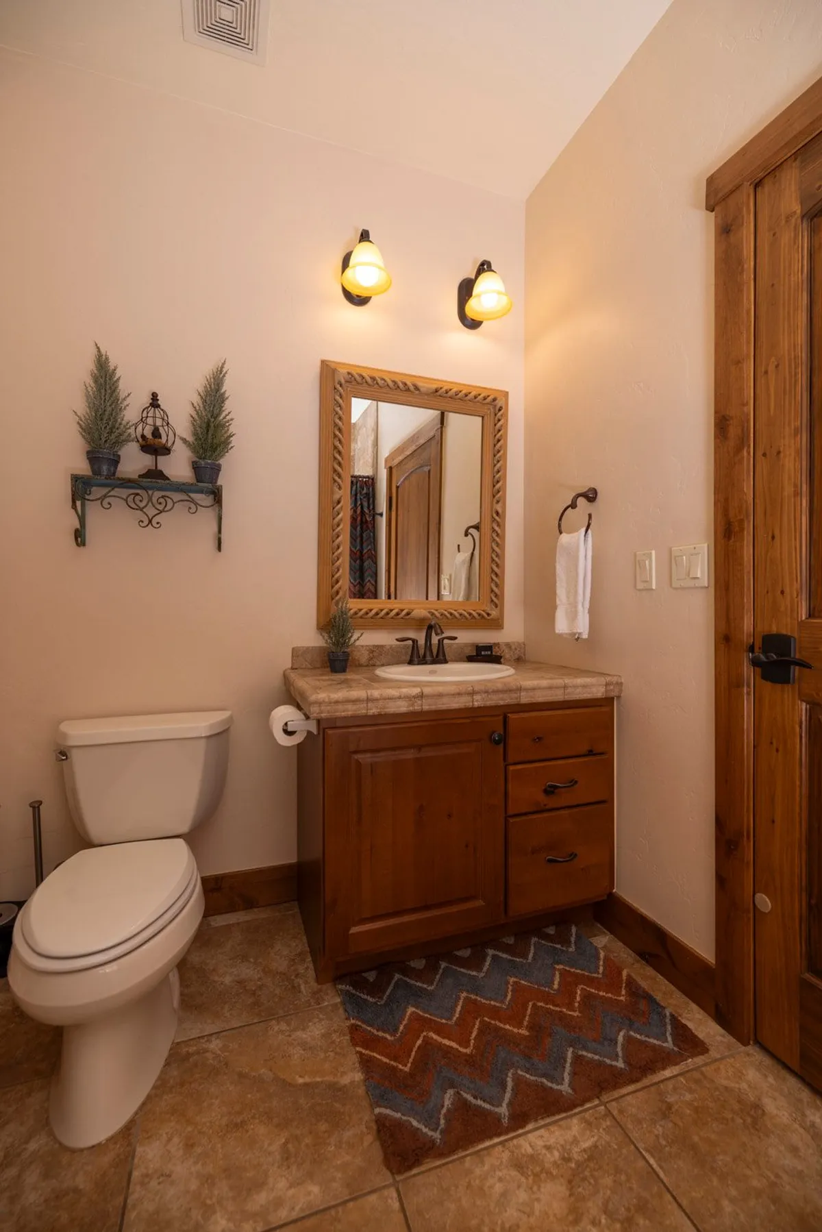 This image features a framed mirror above a wooden cabinet, decorative shelving with plants, and a patterned rug in a bright entryway. The space is warmly inviting, suggesting both functionality and comfort as guests enter or exit the residence.
